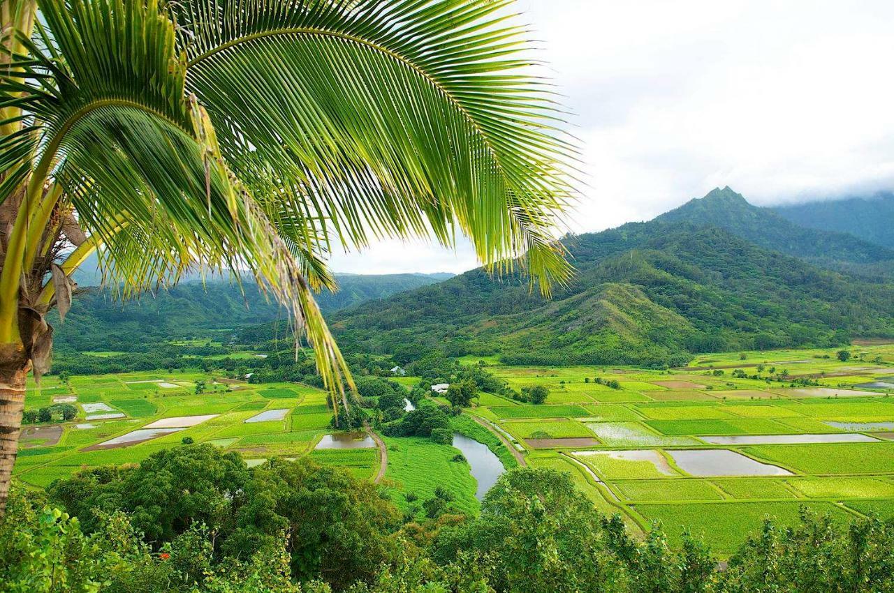 Islander On The Beach 352 Oceanfront *Penthouse* Ac Pool Kapa'a Exterior photo